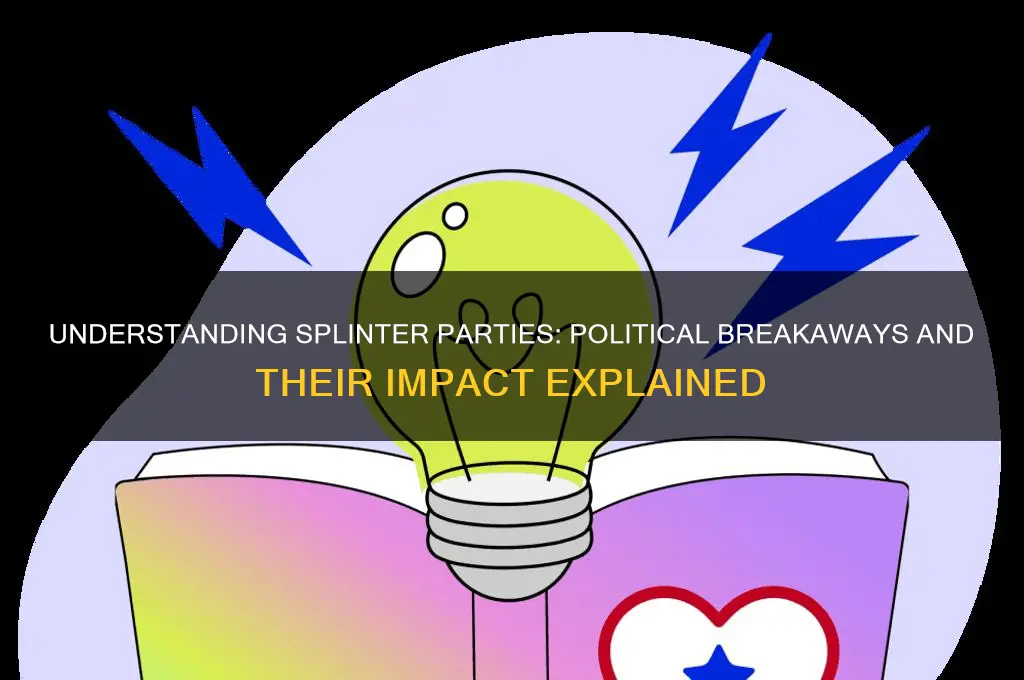 what does splinter party mean in politics
