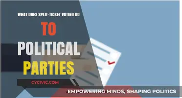 Split-Ticket Voting: How It Reshapes Political Party Dynamics and Strategies