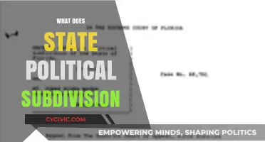 Understanding State Political Subdivisions: Roles, Functions, and Importance