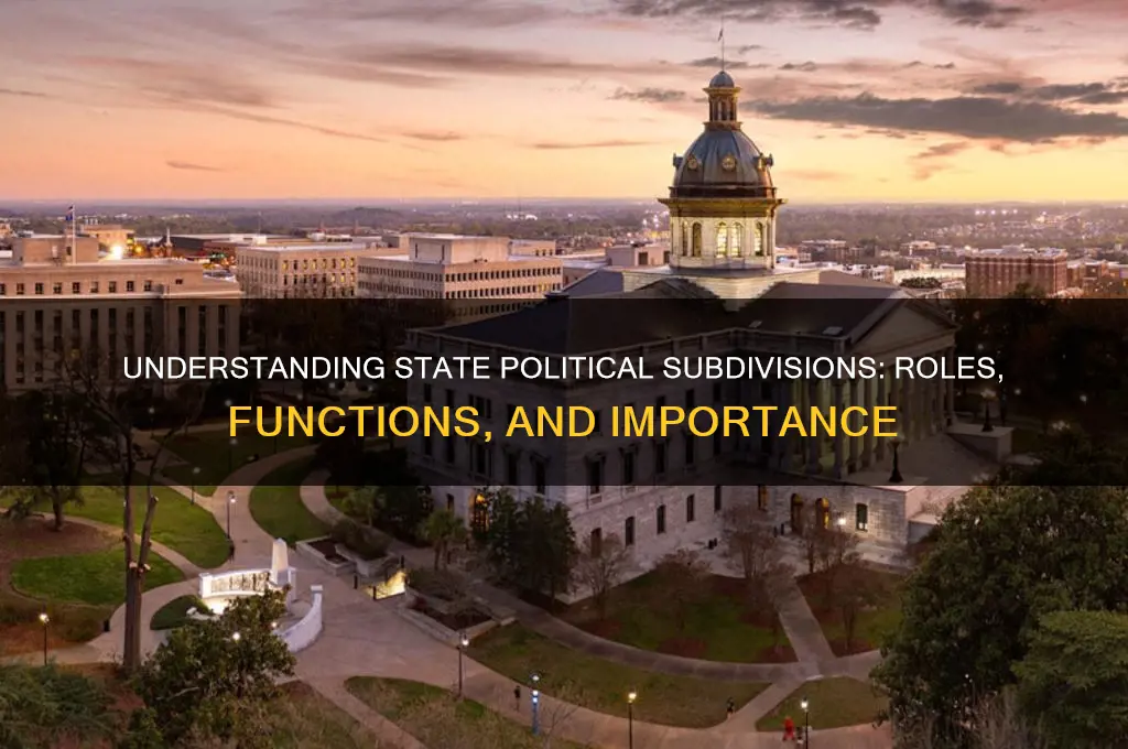 what does state political subdivision