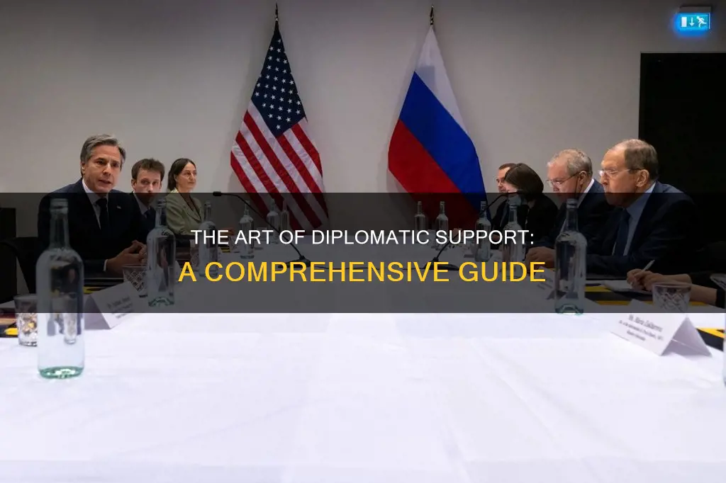 what does support mean diplomacy