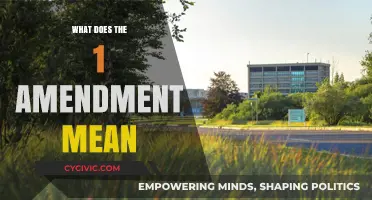 Understanding the First Amendment: Freedom's Definition