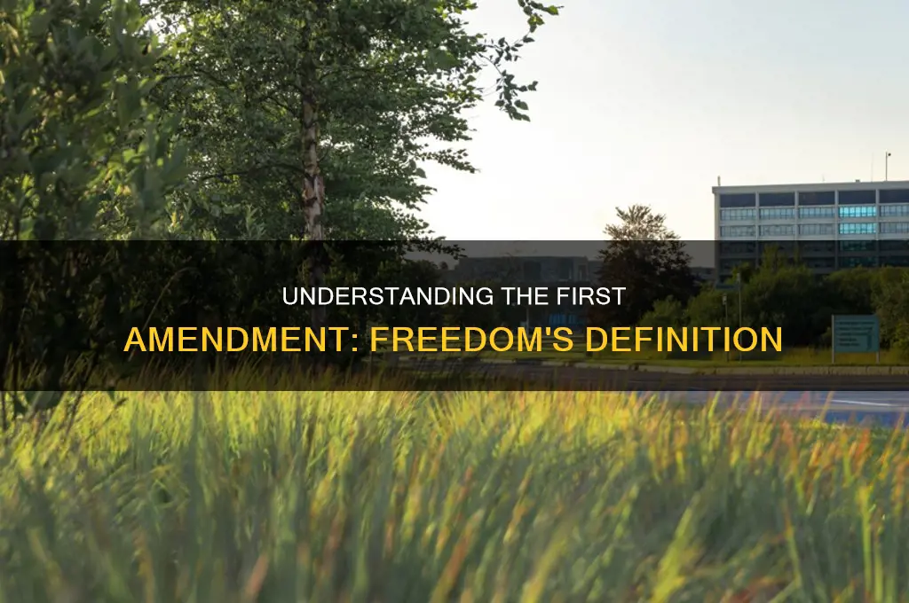 what does the 1 amendment mean