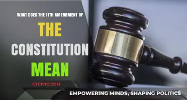 Understanding the 11th Amendment: States' Rights and Sovereign Immunity