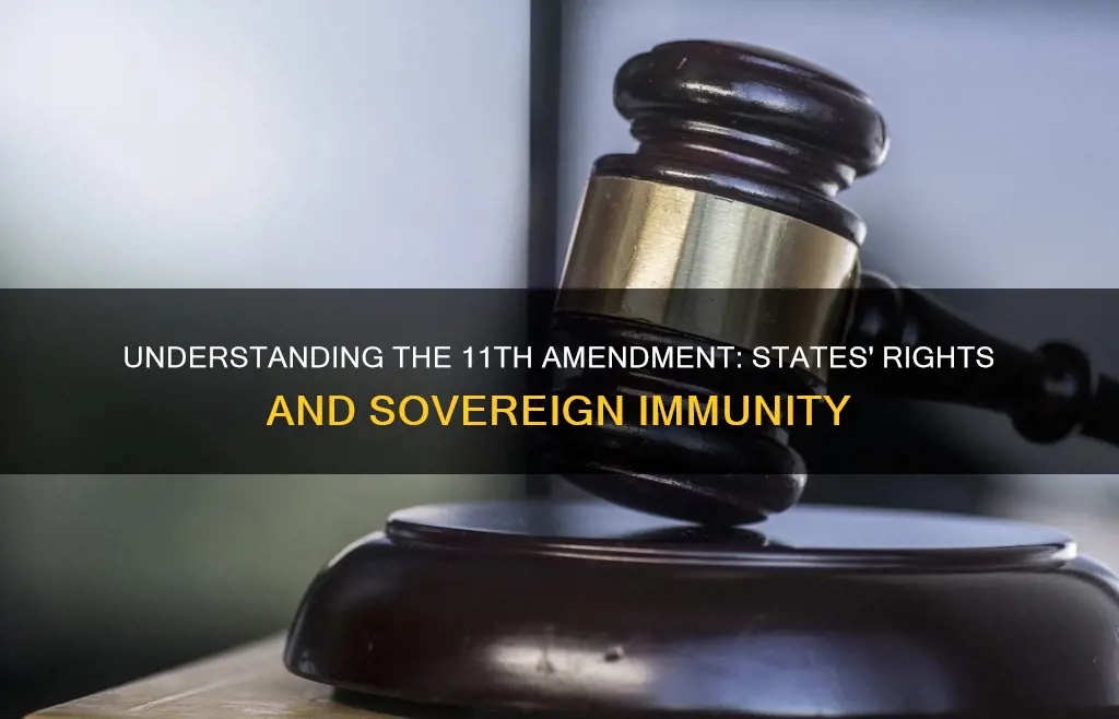 what does the 11th amendment of the constitution mean