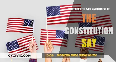 Understanding the 14th Amendment: Rights and Citizenship