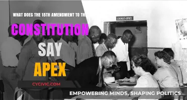 Amendment 15: Voting Rights for All