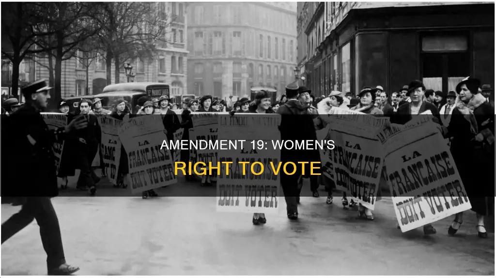 what does the 19th amendment say in the constitution