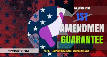 Understanding the First Amendment: Our Fundamental Freedoms