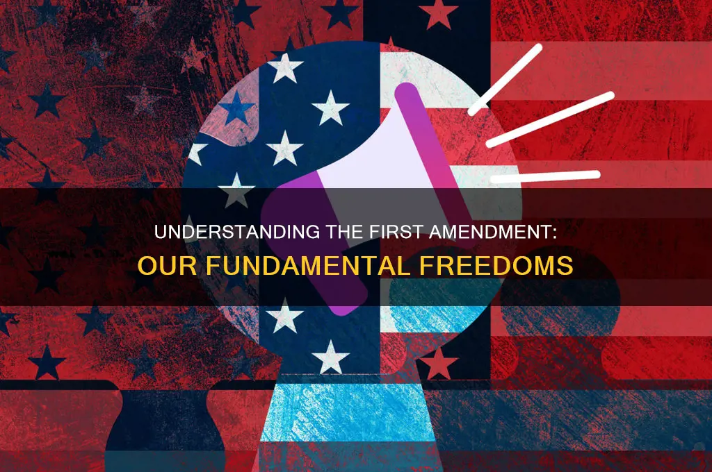 what does the 1st amendment guarantee