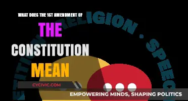 Understanding the First Amendment: Freedom's Foundation