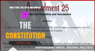 Exploring the 25th Amendment: Understanding Presidential Succession