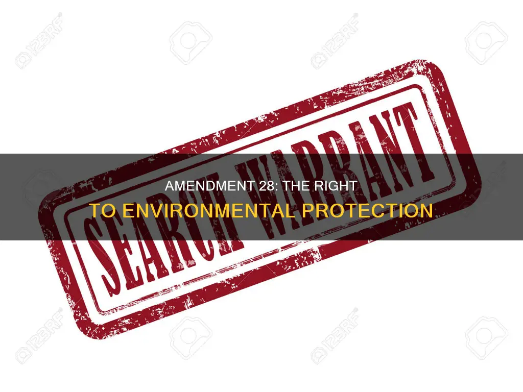 what does the 28th amendment of the constitution say