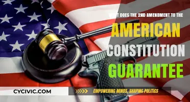 The Second Amendment: Right to Bear Arms