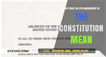 Understanding the Fifth Amendment's Meaning and Its Impact