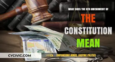 Understanding the Eighth Amendment: Meaning and Impact