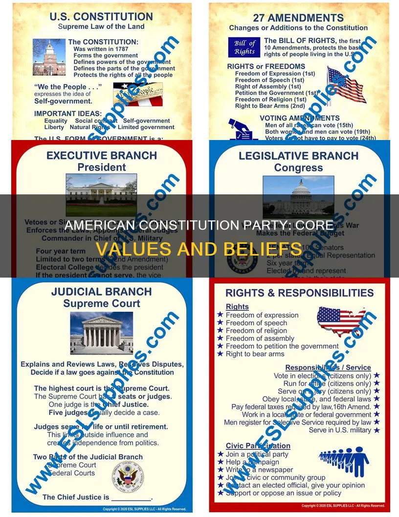 what does the american constitution party stand for