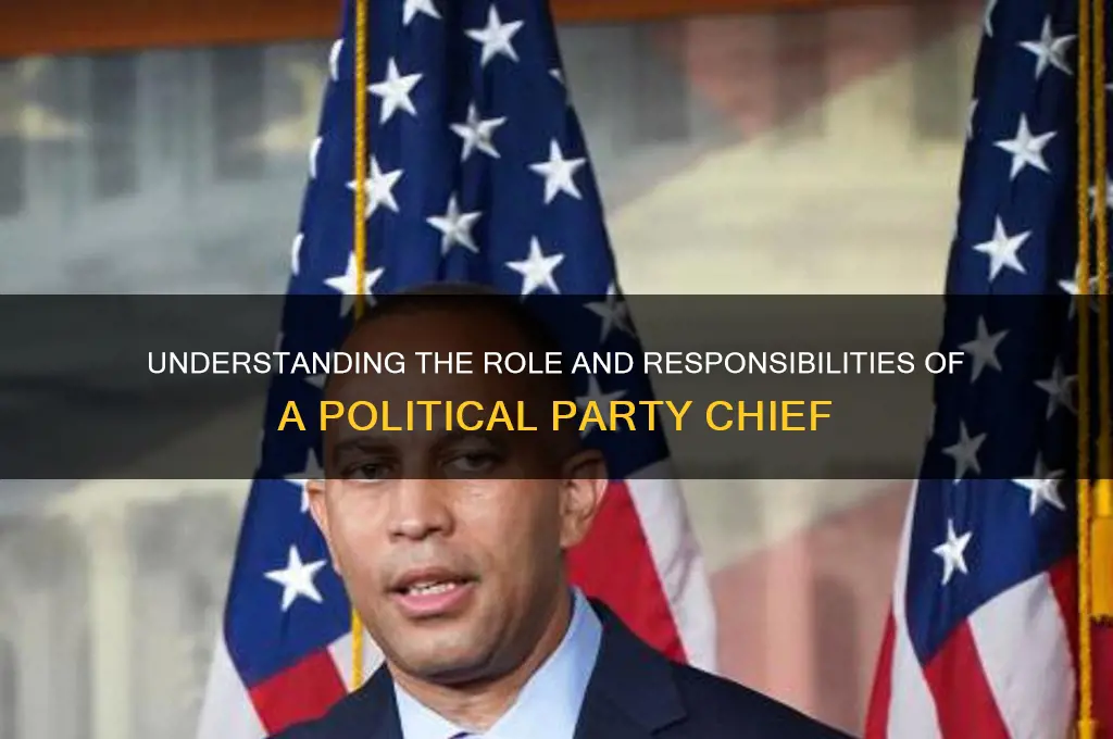 what does the chief of political party do