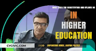 Understanding Higher Ed: Constitution and Bylaws
