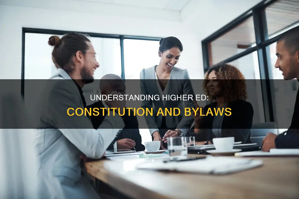 what does the constitution and bylaws do in higher education