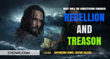 Understanding Treason and Rebellion in the Constitution