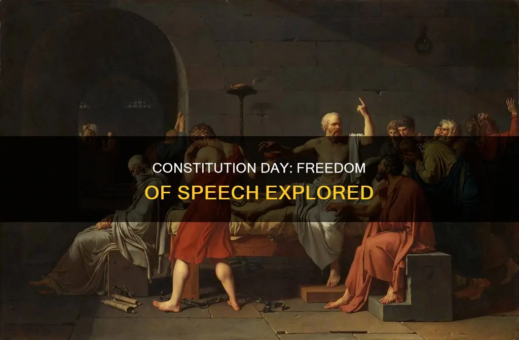 what does the constitution day about freedom of dpeecj