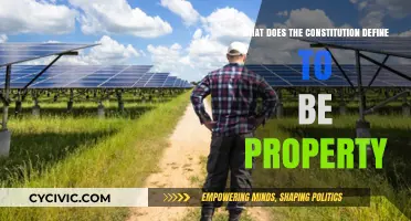 The Constitution's Definition of Property: Exploring the Boundaries