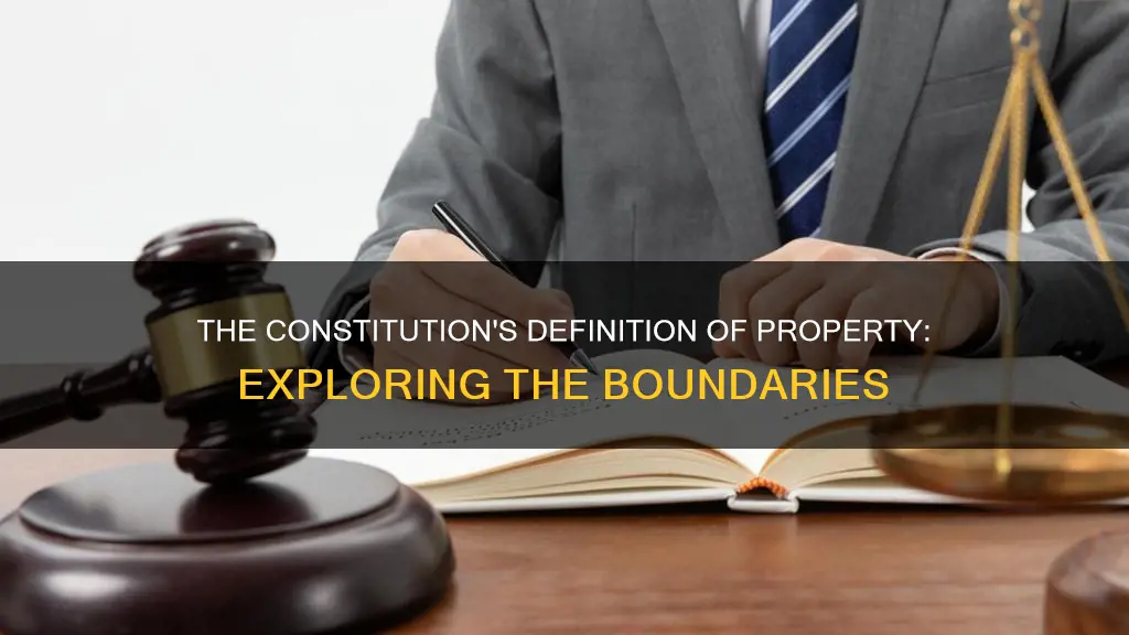 what does the constitution define to be property