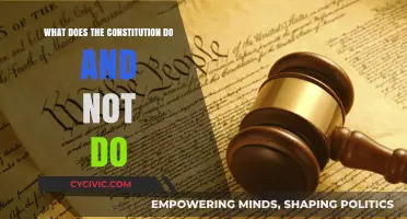 Understanding the Limitations of the Constitution