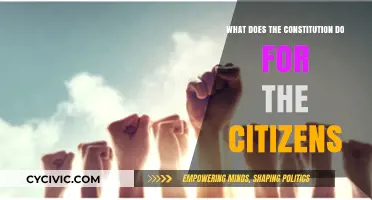 The Constitution: Our Rights and Freedoms