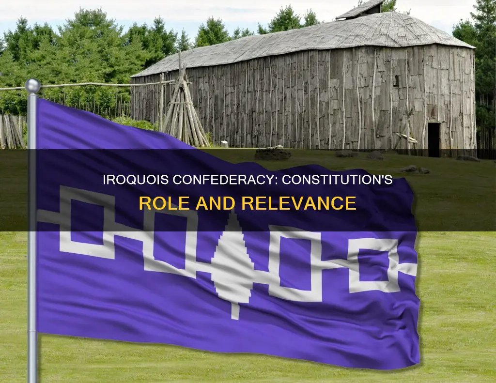 what does the constitution do for the iroquois confederacy