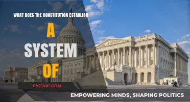 The Constitution: Building a System of Checks and Balances