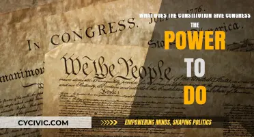 Congress' Constitutional Powers: Explained