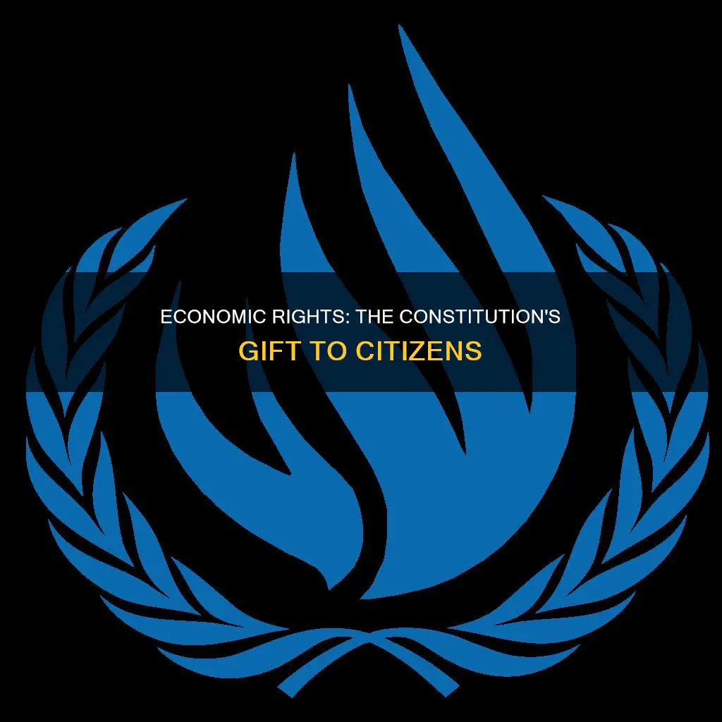 what does the constitution give us citizen economically