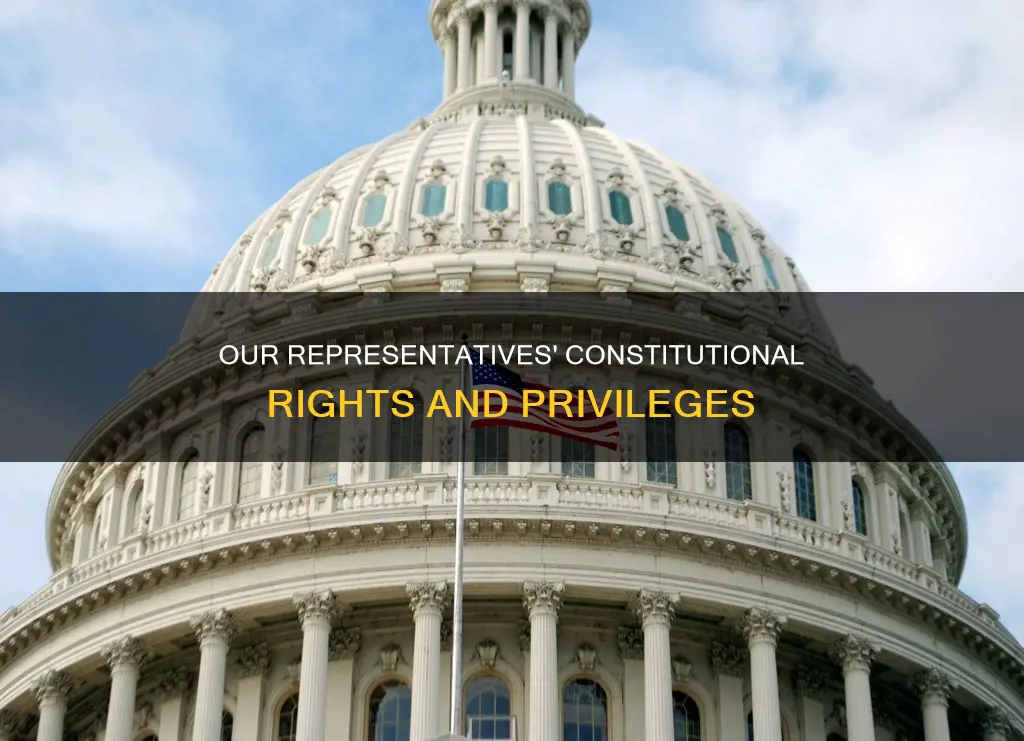 what does the constitution grant to our representatives