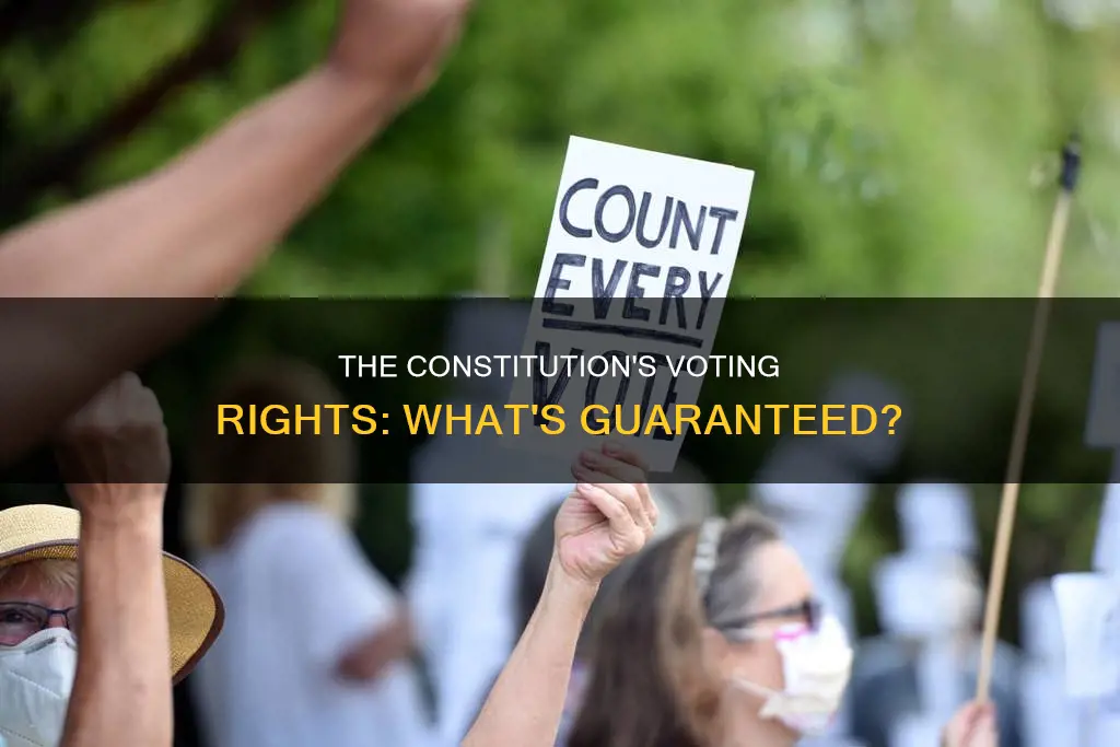 what does the constitution guarantee in regards to voting