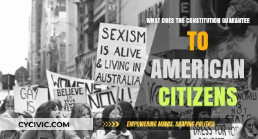 The Constitution: Our Rights and Freedoms