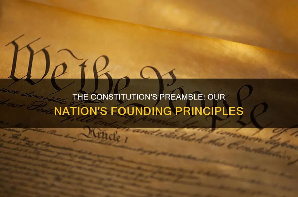 what does the constitution have in the begining