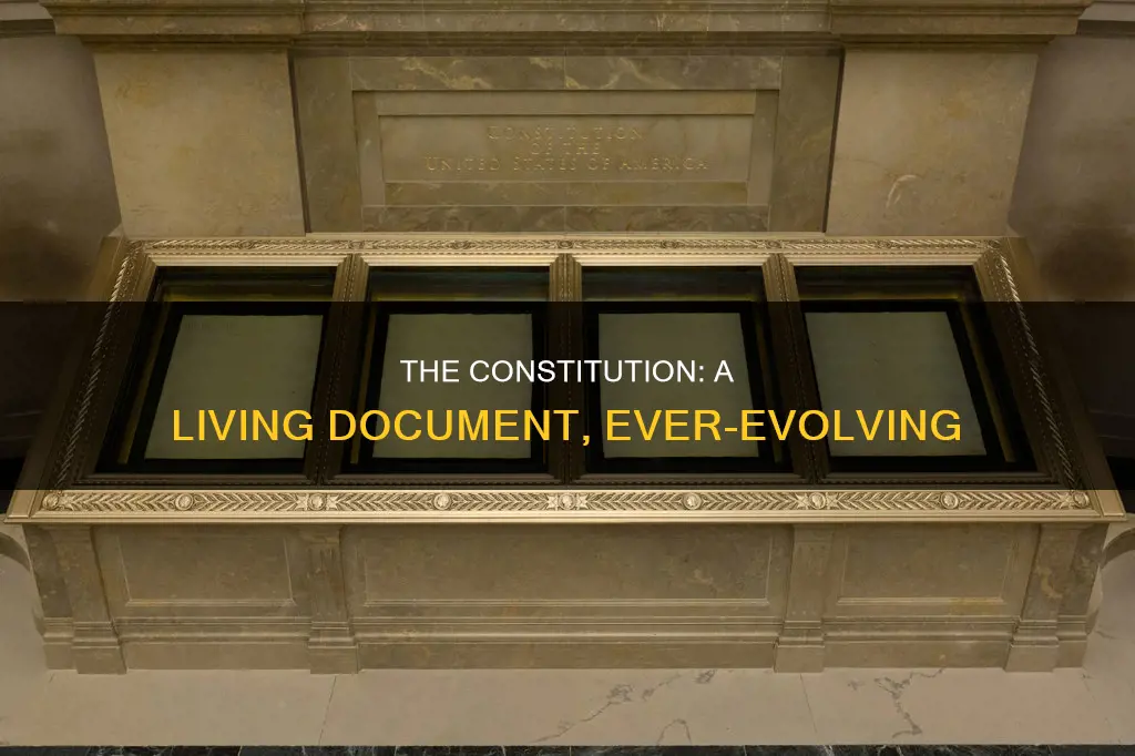 what does the constitution is a living document