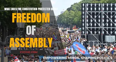 The Right to Assemble: Understanding Constitutional Protections