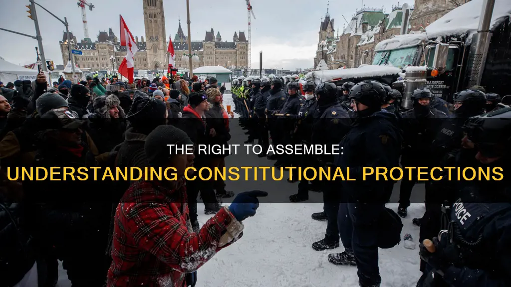 what does the constitution protected under freedom of assembly