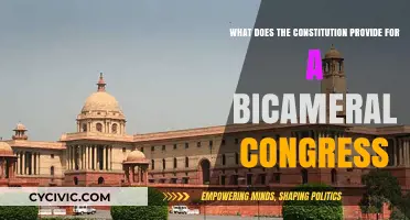 Bicameral Congress: Why Two Chambers?