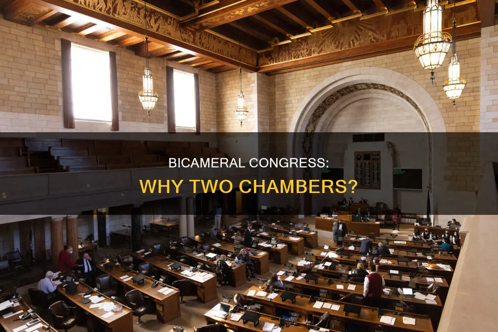 what does the constitution provide for a bicameral congress