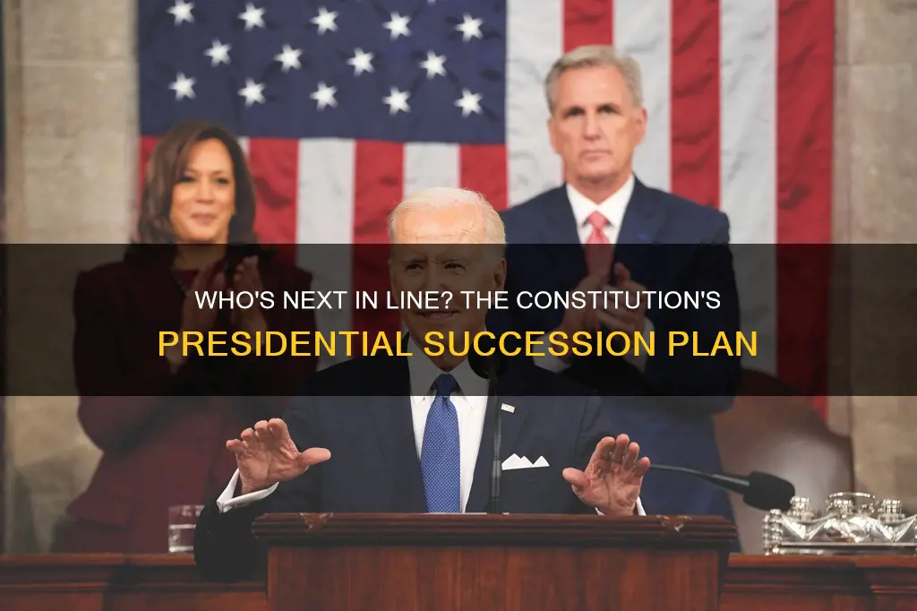what does the constitution provide for presidential succession