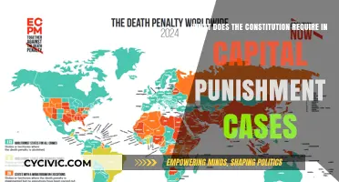 Capital Punishment Cases: Constitutional Requirements Explained