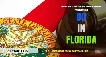 Florida's Constitution Revision Commission: Understanding its Role