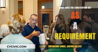 The Constitution's Requirements: Setting the Standard