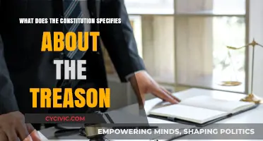 Understanding Treason: Constitutional Specifications Explained