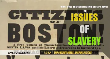 Slavery's Constitutional Legacy: Examining the Fine Print