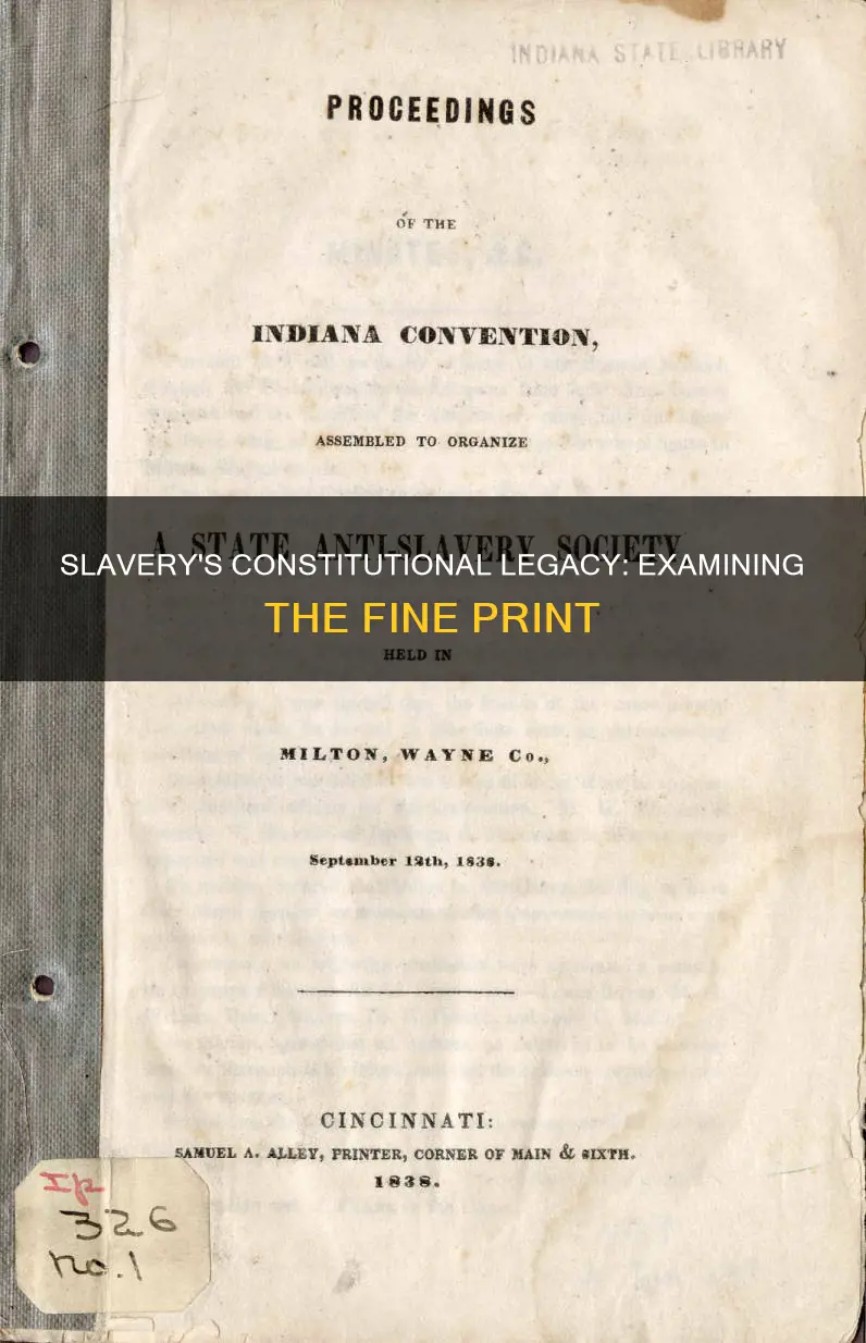 what does the constitution specify about the issues of slavery